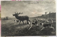 *Carte postale - Chasse à