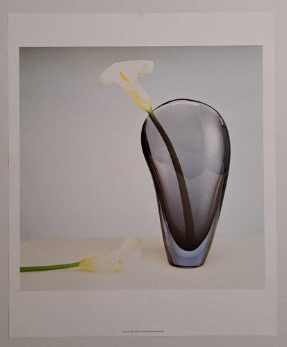 Poster robert mapplethorpe - robert,