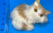 GATTO MARRONE E BIANCO PELOSO CALAMITA MAGNETE FRIGO FRIGORIFERO VINTAGE