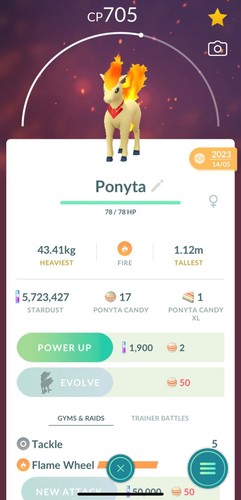 Accessorio candela ponyta - candela,