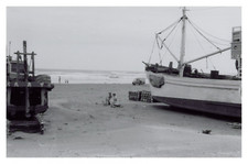 Japon, Pique nique sur la