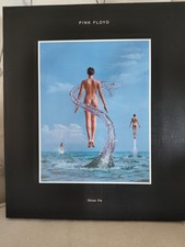 Pink Floyd Shine on Box Set