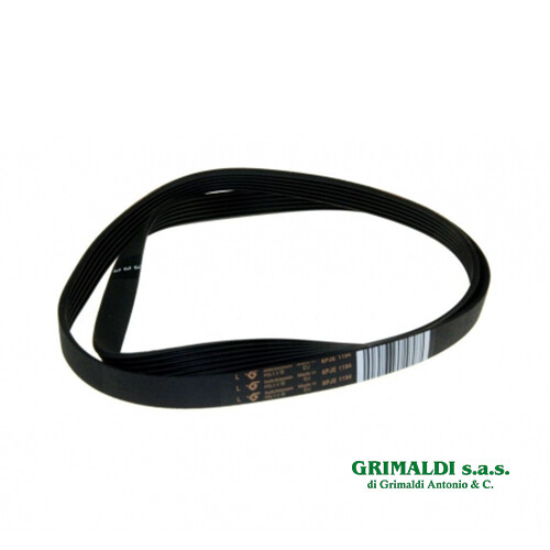 Cinghia righi larghi 1194j6 - righi,