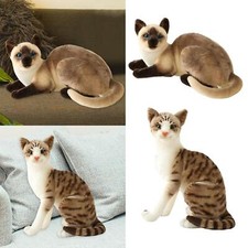 2 Pezzi Simulazione Gatti