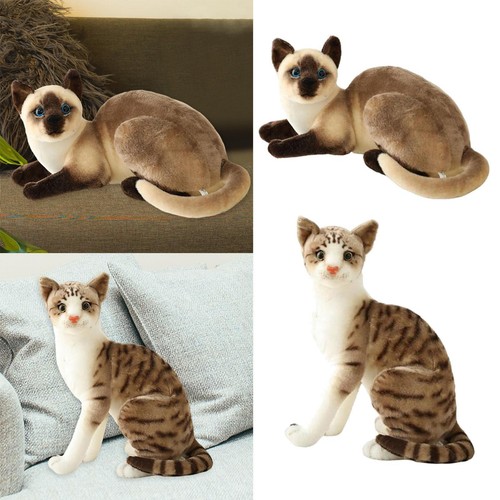 Pezzi simulazione gatti - 2,