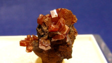MINERALE "Vanadinite xx "  - TAOUZ - ER RISSANI - ERRACHIDIA - MAROCCO