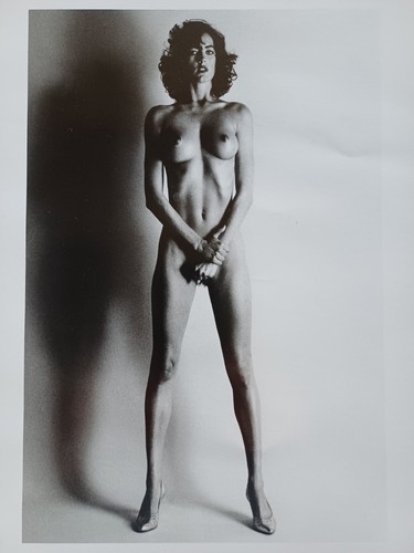 Helmot newton warhol chisto - (warhol,