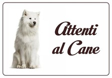 Samoiedo targa attenti - targa, cane