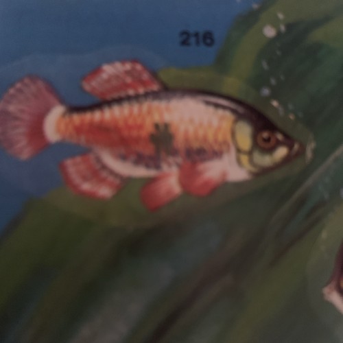 Figurina 216 mondo - n.216, il
