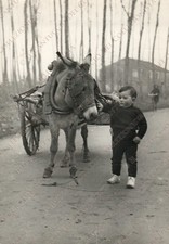 1956 CASTELNOVO BARIANO