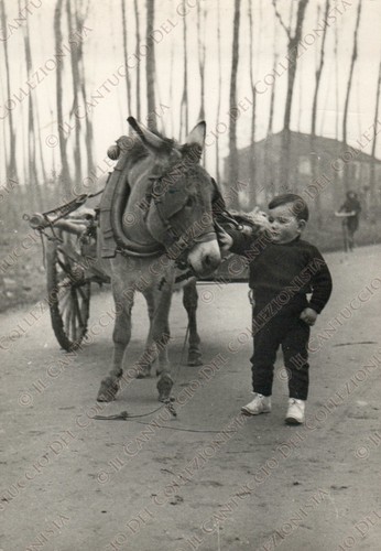 1956 castelnovo bariano - 1956,