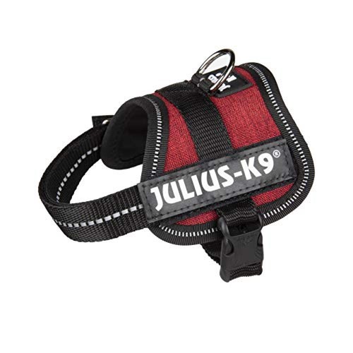 Julius k9 - baby, julius-k9