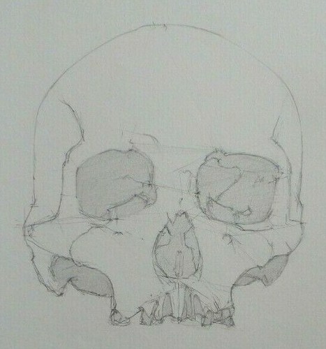 Disegno matita ombreggiato - disegno,