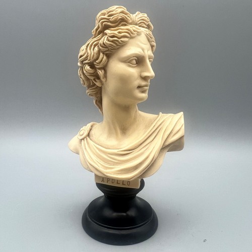 Scultura busto belvedere - scultura,