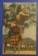 1900ca (B. Cascella) cartoline