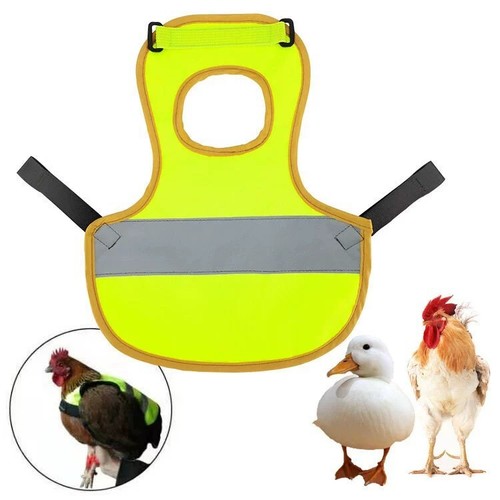 Grembiule gallina - grembiule,