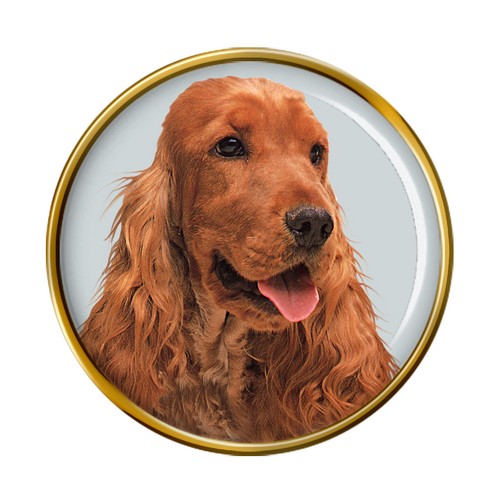 Inglese cocker spaniel - inglese,