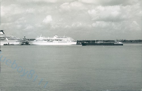 Bahamian calypso tilbury - bahamian,