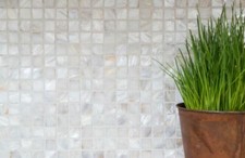 Mosaico Tessere conchiglia