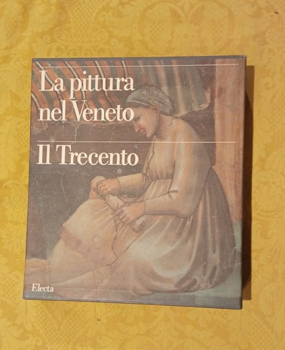 Pittura nel veneto il - pittura,