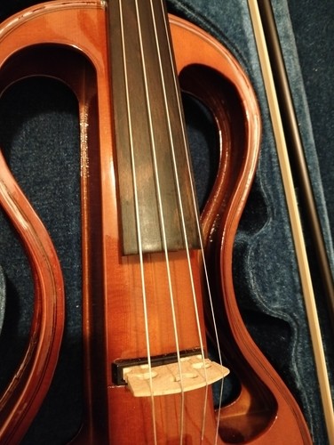 Violino elettrico amplificato