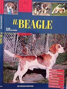 Beagle rapello faion elena - rapello,