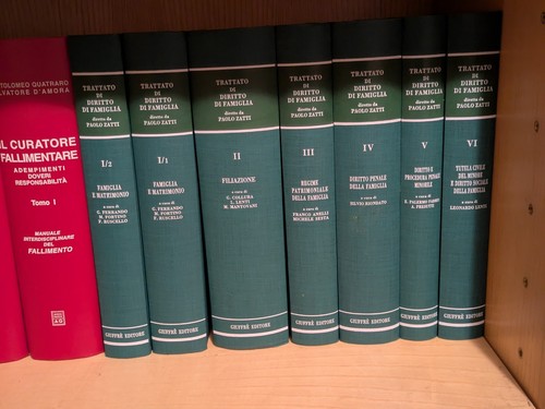 Trattato diritto di - diritto,
