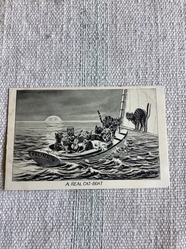 1906 nantucket felina una - g",