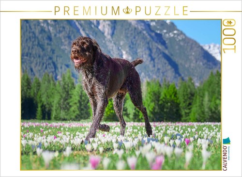 Calvendo puzzle deutsch - puzzle,