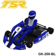 Team Saxo GK-200 1/8 RC Go