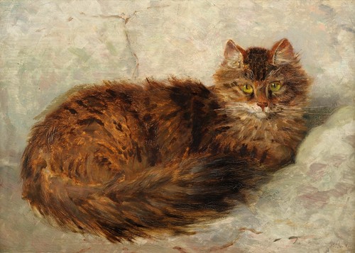 Henriette ronner knip cat - ronner-knip,