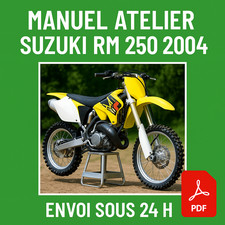 Manuel atelier suzuki 250 - manuel,