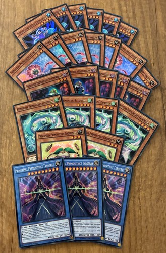 Lotto carte - yu,