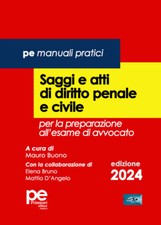 Saggi e atti di diritto penale