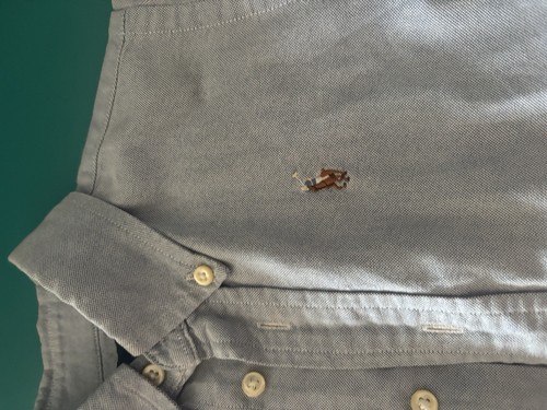 Camicia bambino polo ralph - polo,