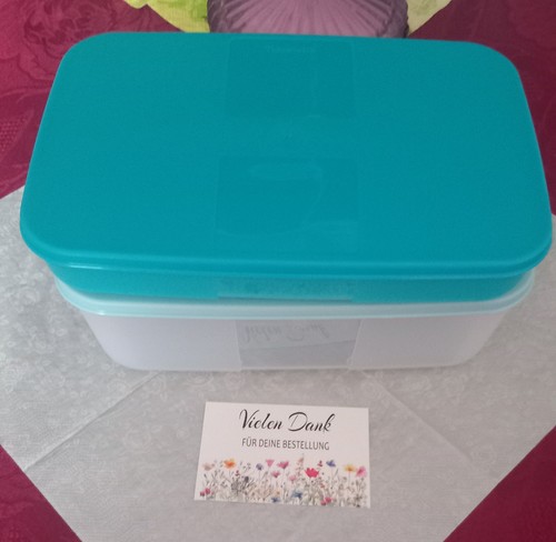 Tupperware sistema - 🌺,