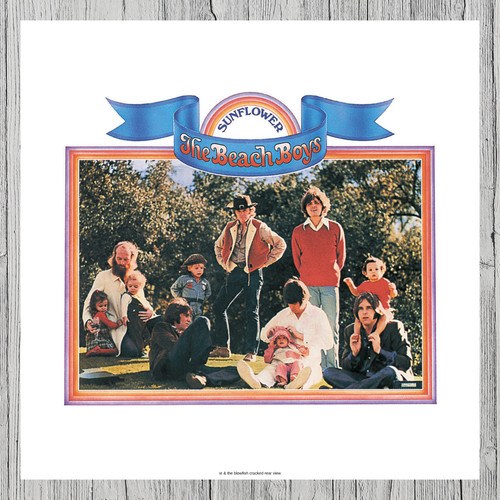 The beach boys copertina - the,