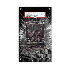 Zekrom ex 174/086 - Custodia