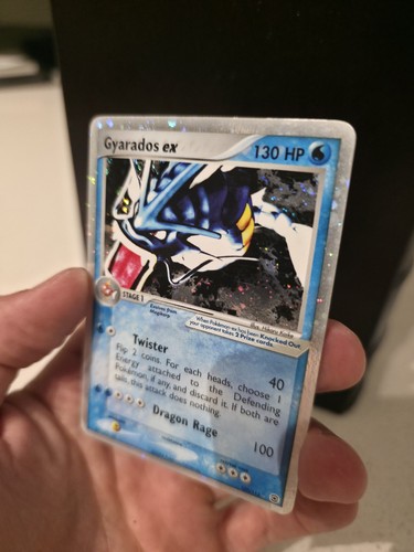 Pokémon tcg gyarados holo - pokémon,