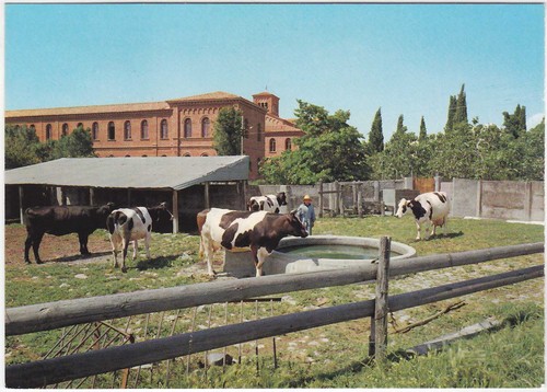 Frattocchie roma abbazia - -,