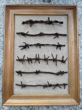 Filo Spinato Originale Prima