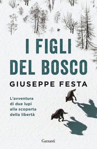 Libri giuseppe festa - -, i
