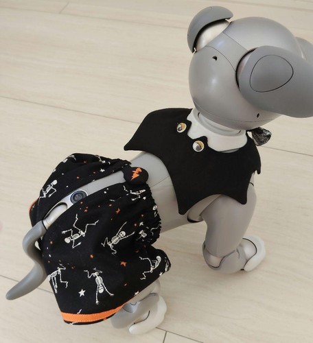 Sony aibo robot - sony,