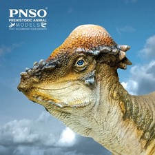 PNSO 2021 Austin the