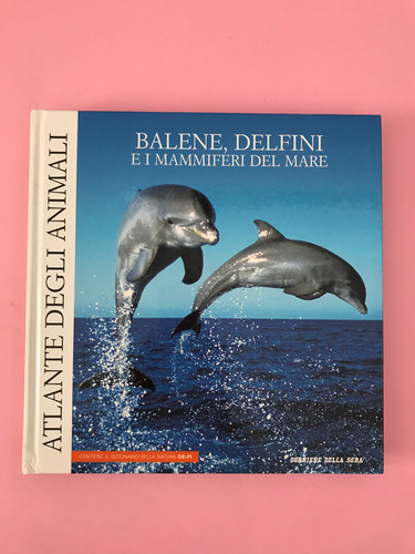 Balene delfini mammiferi - balene,delfini, e