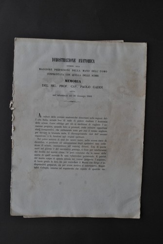 Medicina anatomia scheletro - medicina,