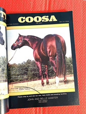 1985 QUARTER HORSE JOURNAL