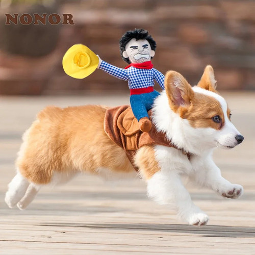 Nonor halloween festa cane - nonor,