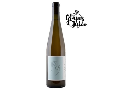 Cantina giardino gaia fiano - cantina,