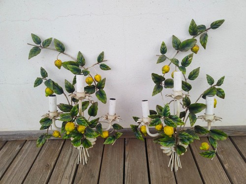 Applique con limoni ferro - in,